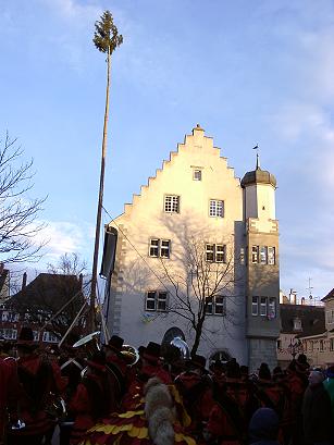 Narrenbaumstellen